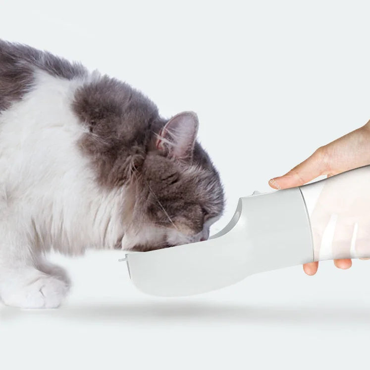 Portable Dog Water Bottle with Drinking Bowl for On The Go