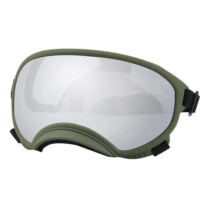 Fashionable Dog Skiing Goggles for Unique Style