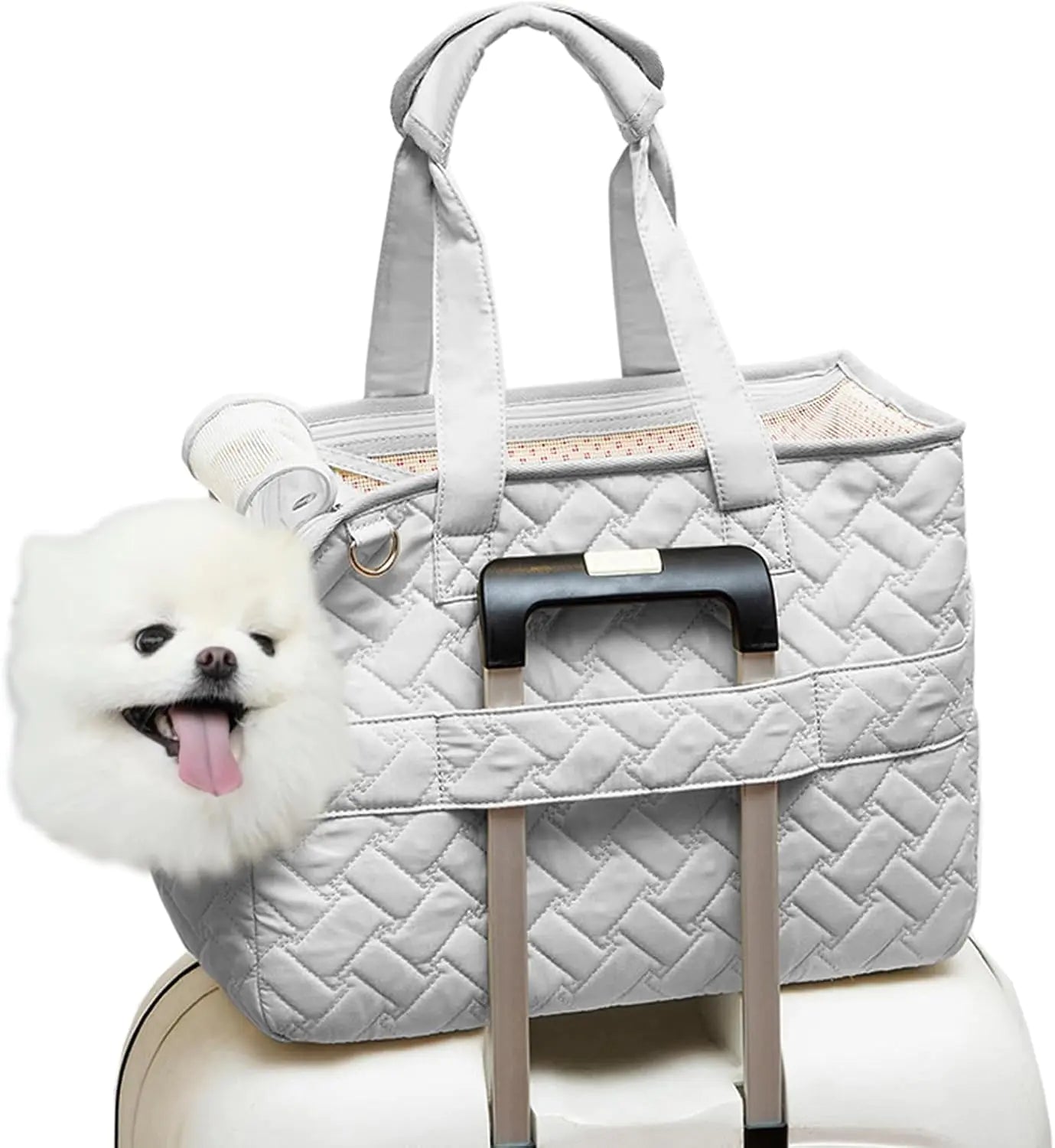 Pet Carrier Bag