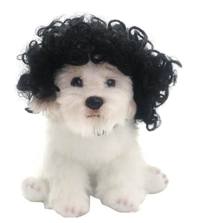 Toshomono Wig