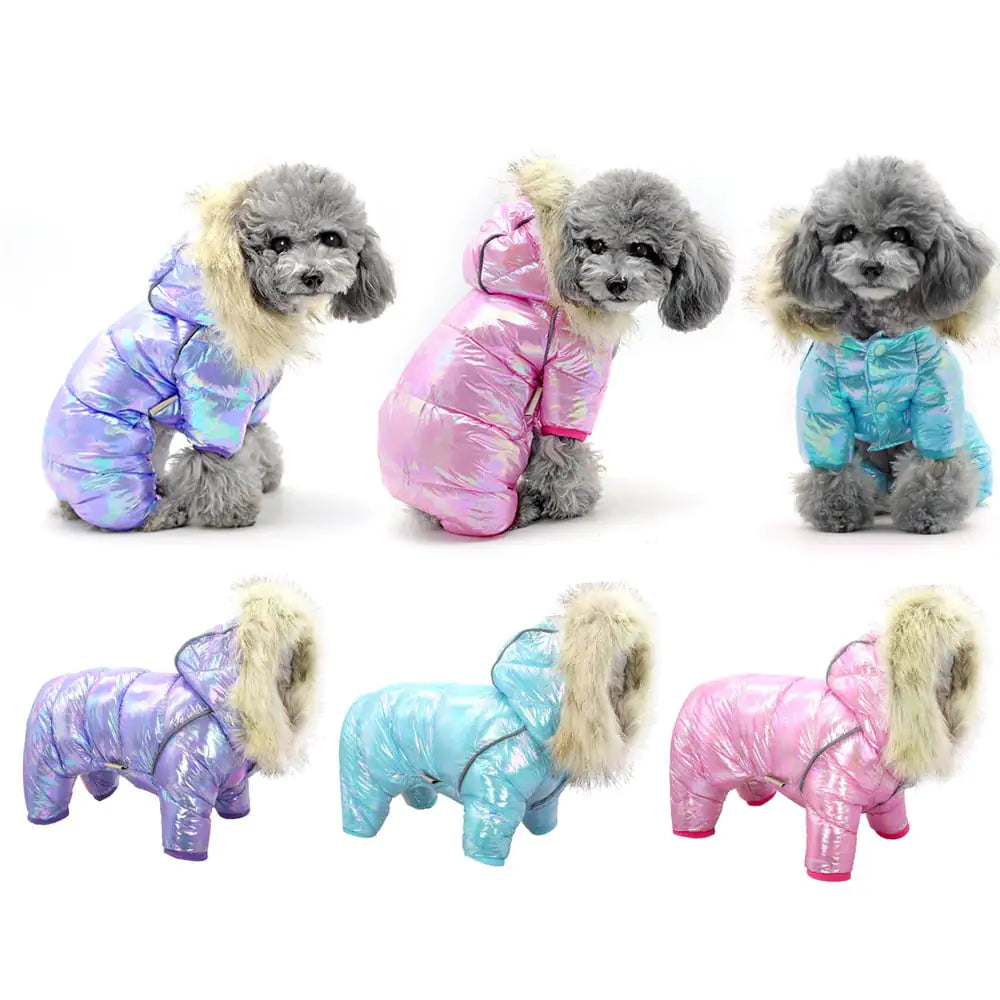 Colorful Winter Coat with Buttoned Hat for Pets