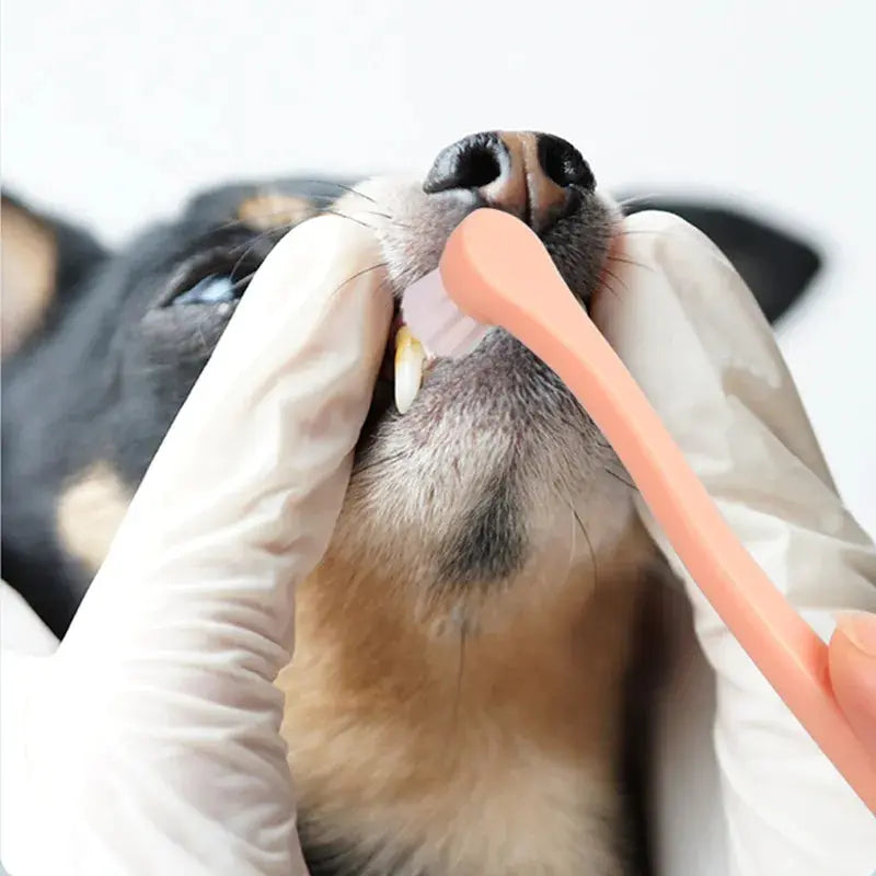 Soft Dog Toothbrush for Grooming and Oral Care