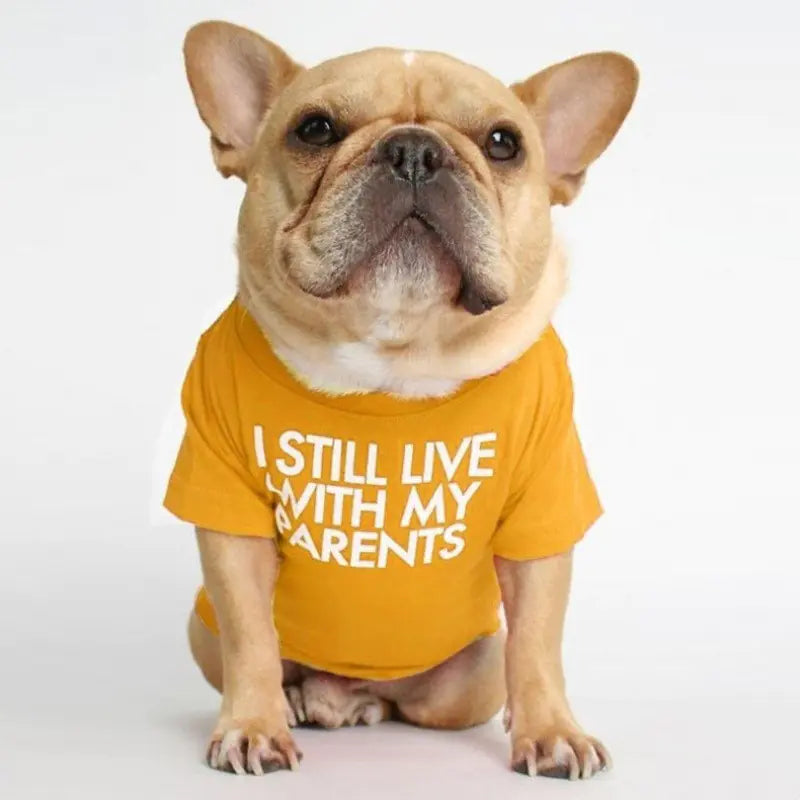 Round Neck T-shirt for Pets