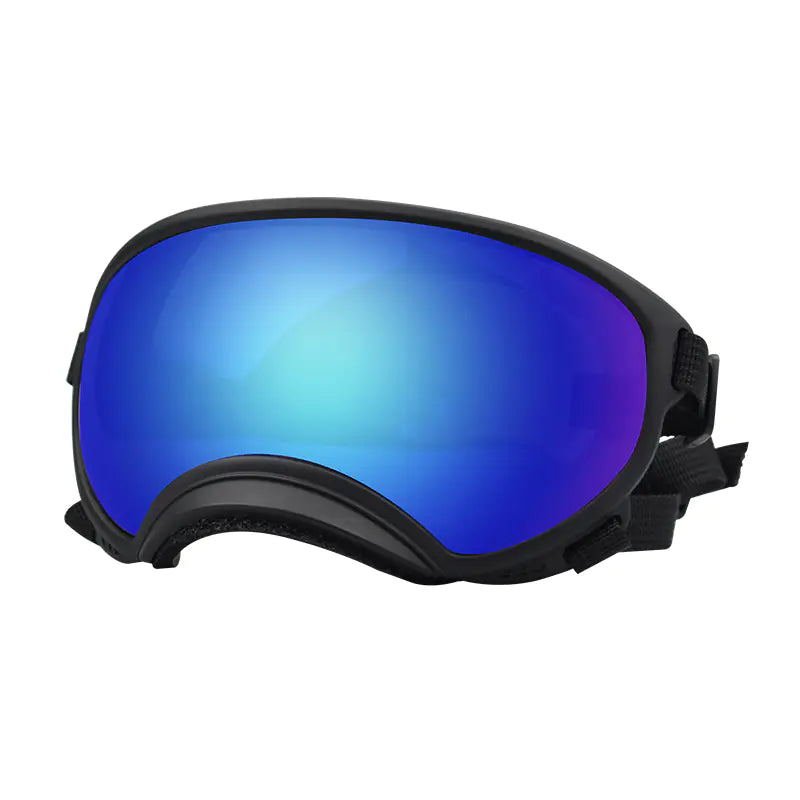 Fashionable Dog Skiing Goggles for Unique Style