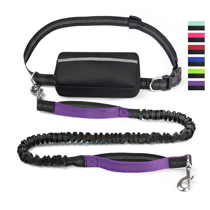 Hands Free Pet Running Waist Bag with Leash