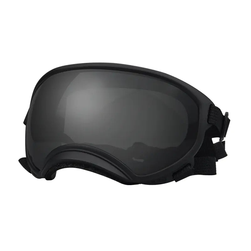 Fashionable Dog Skiing Goggles for Unique Style
