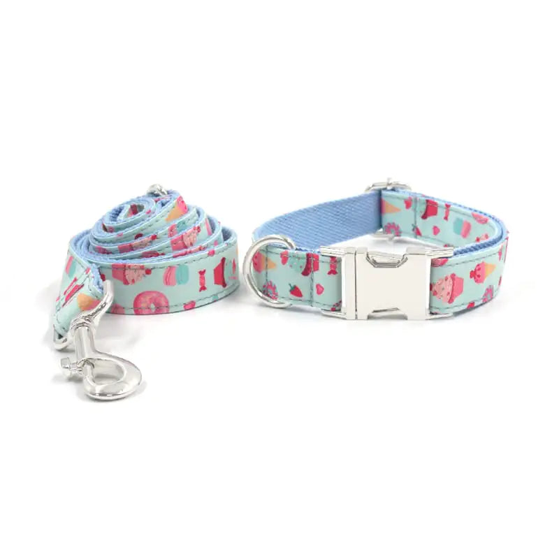 Large Dog Collar and Leash Set