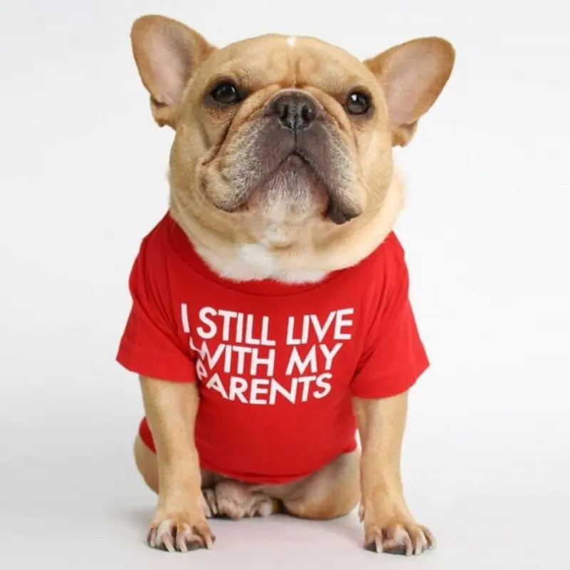 Round Neck T-shirt for Pets