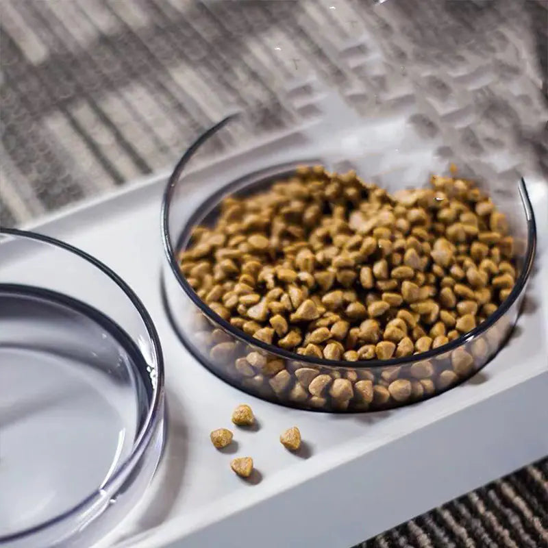 Adjustable Inclined Hexagonal Pet Bowl with Dual Sections