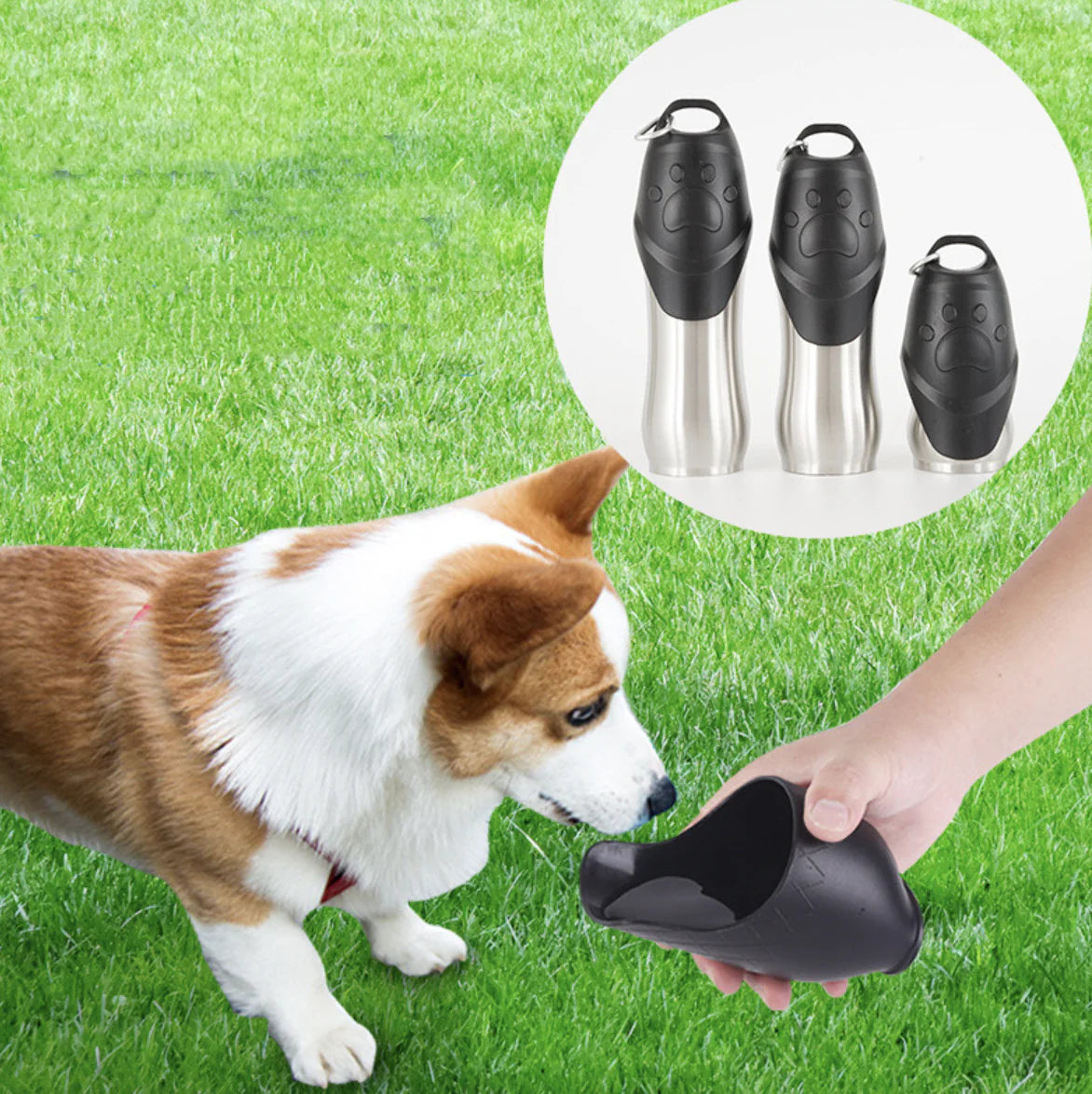 Portable Stainless Steel Drinking Bottle With Bowl for Pets-Top Pick!!