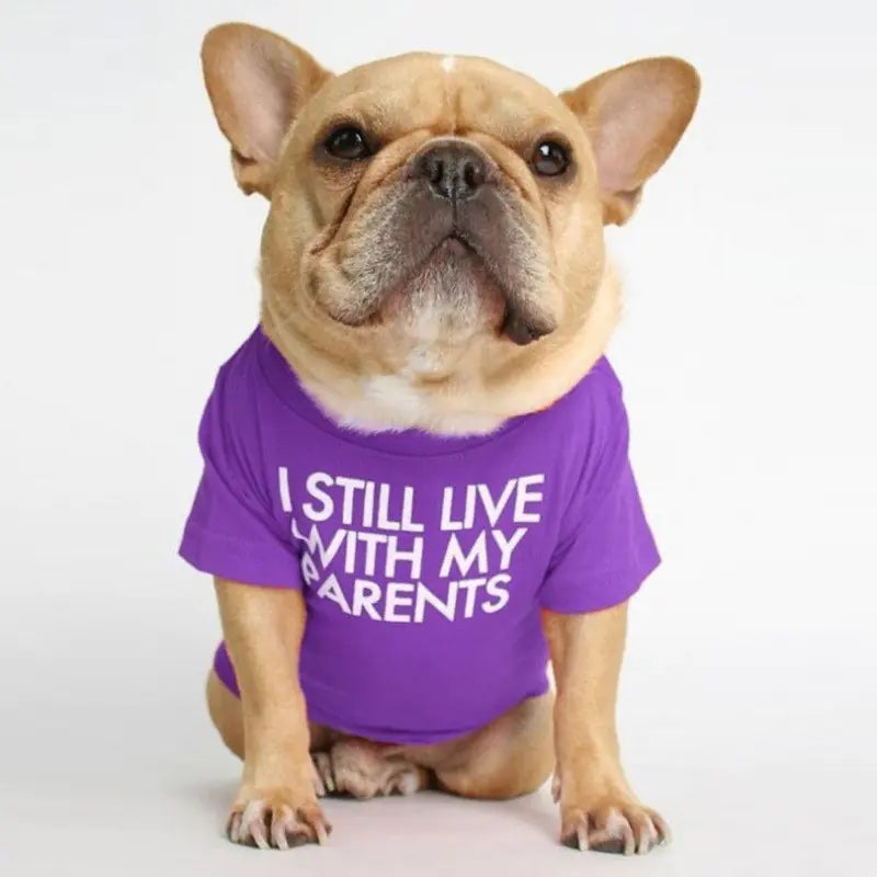 Round Neck T-shirt for Pets