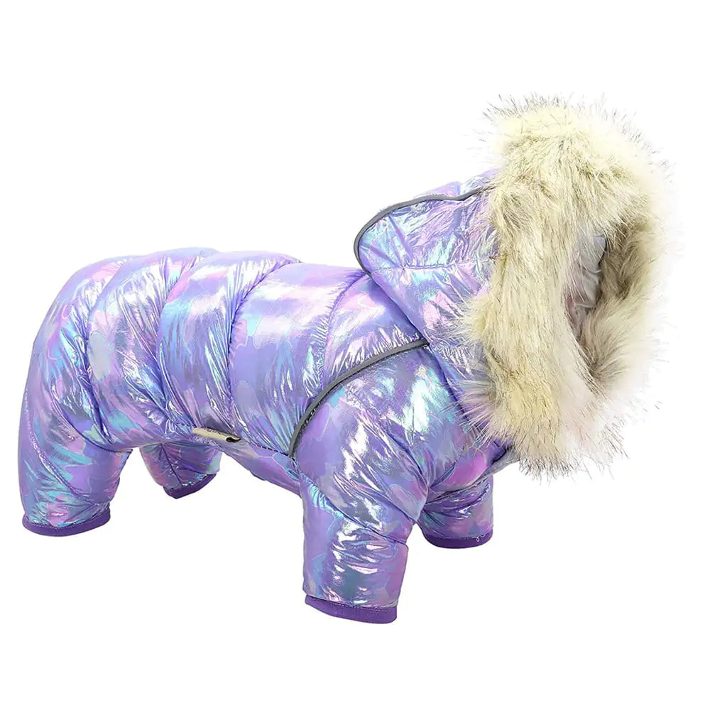 Colorful Winter Coat with Buttoned Hat for Pets