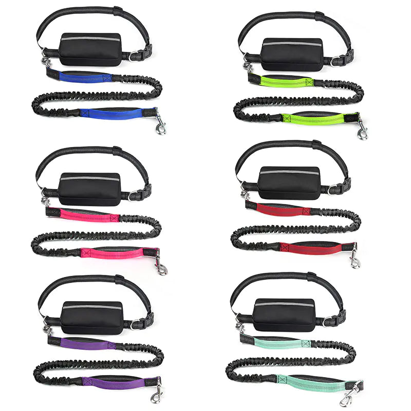 Hands Free Pet Running Waist Bag with Leash