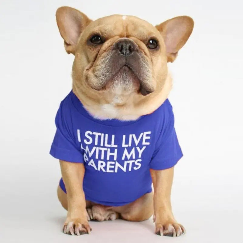 Round Neck T-shirt for Pets