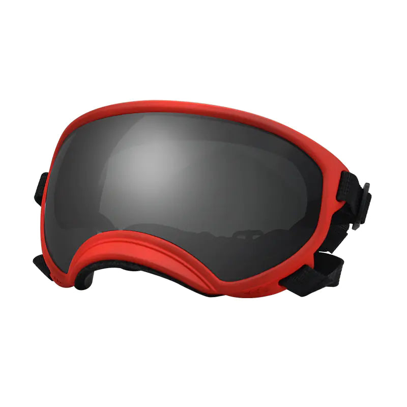 Fashionable Dog Skiing Goggles for Unique Style