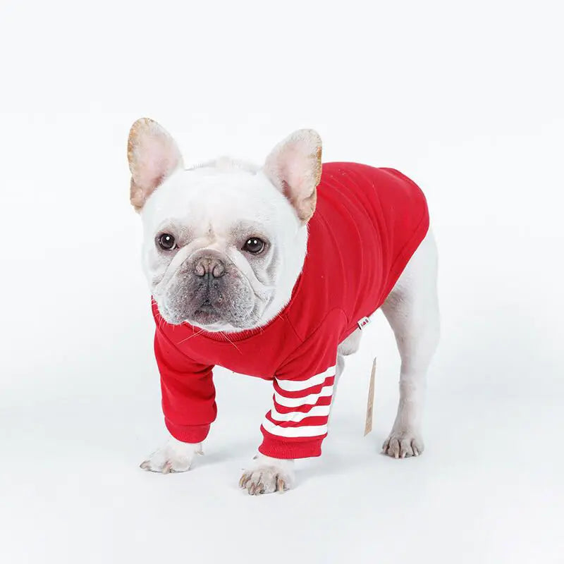Dog sweater for Small Dogs -Top Pick!!