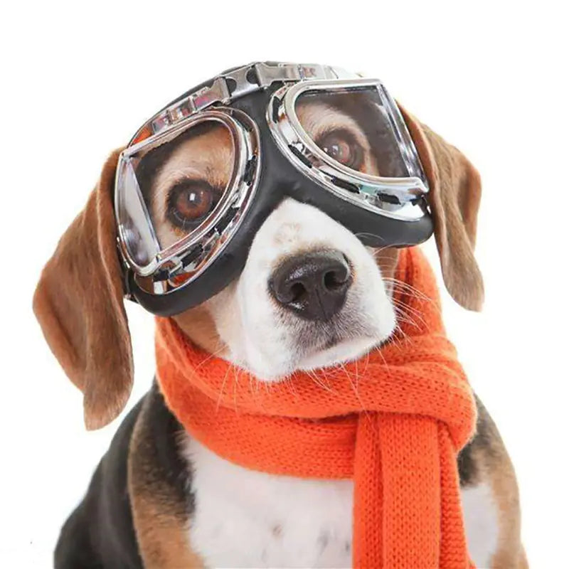 Creative Pet Sunglasses with Large Frames for Dogs