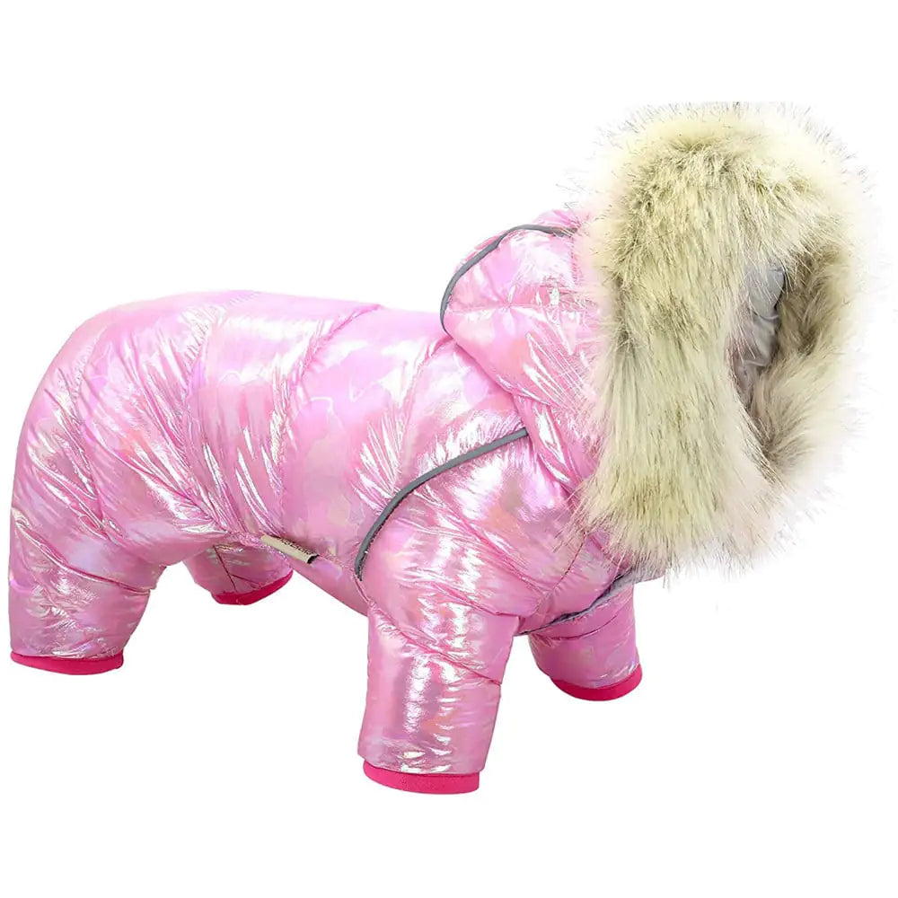 Colorful Winter Coat with Buttoned Hat for Pets