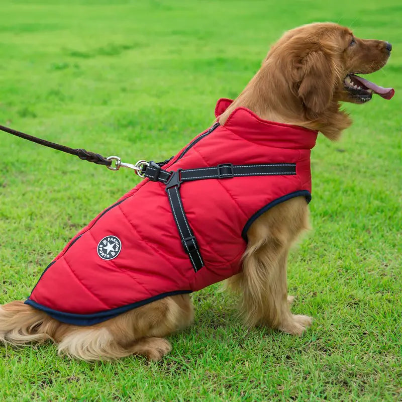 Autumn Winter Warm Dog Jackets for Medium Large Breeds