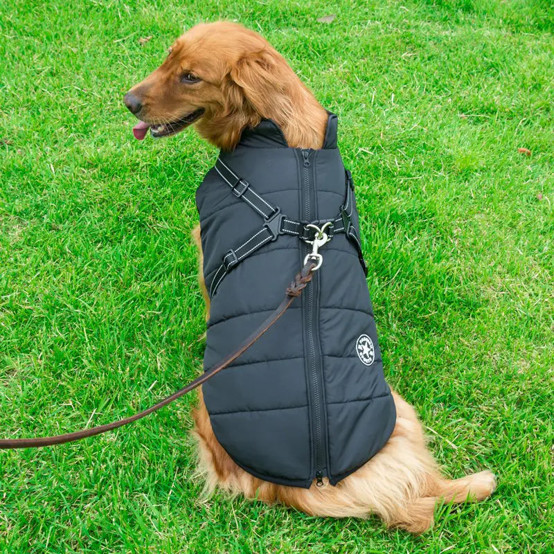 Autumn Winter Warm Dog Jackets for Medium Large Breeds