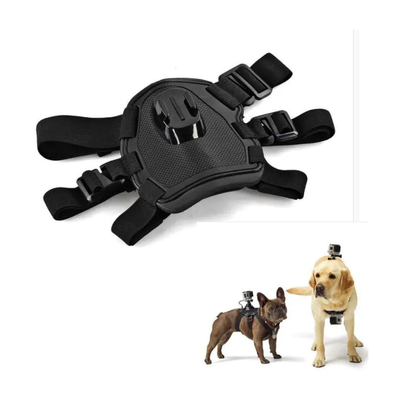 GoPro Dog Harness for Hero 8 7 5 6 & DJI Accessories-Top Pick!!