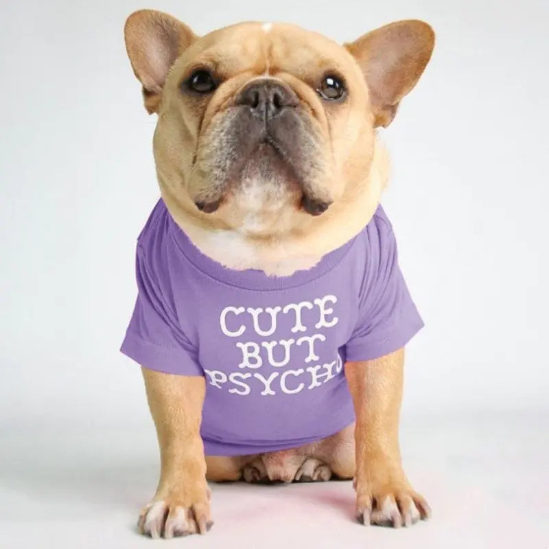 Round Neck T-shirt for Pets