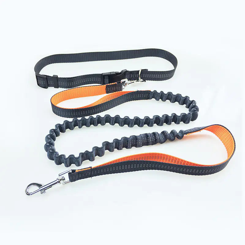 Dog Running Leash, Hands Free