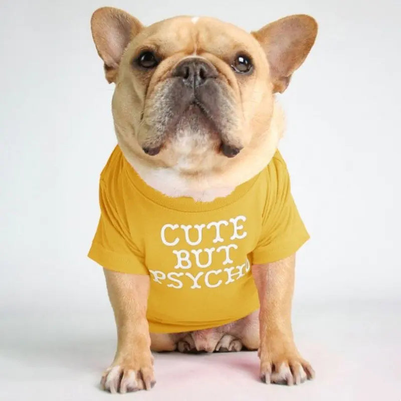 Round Neck T-shirt for Pets