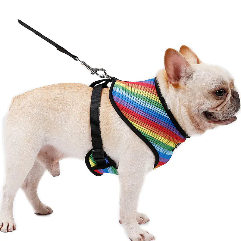 Rainbow Chest Harness