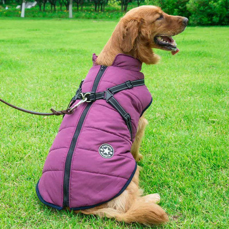 Autumn Winter Warm Dog Jackets for Medium Large Breeds