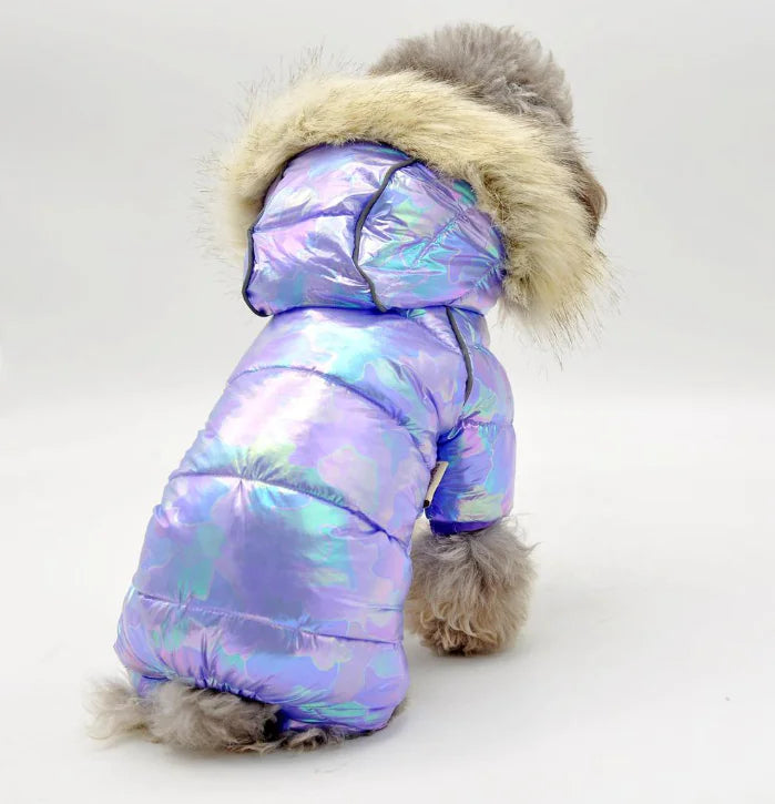 Colorful Winter Coat with Buttoned Hat for Pets