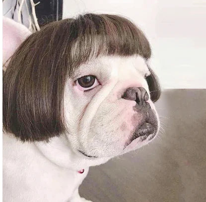 Toshomono Wig