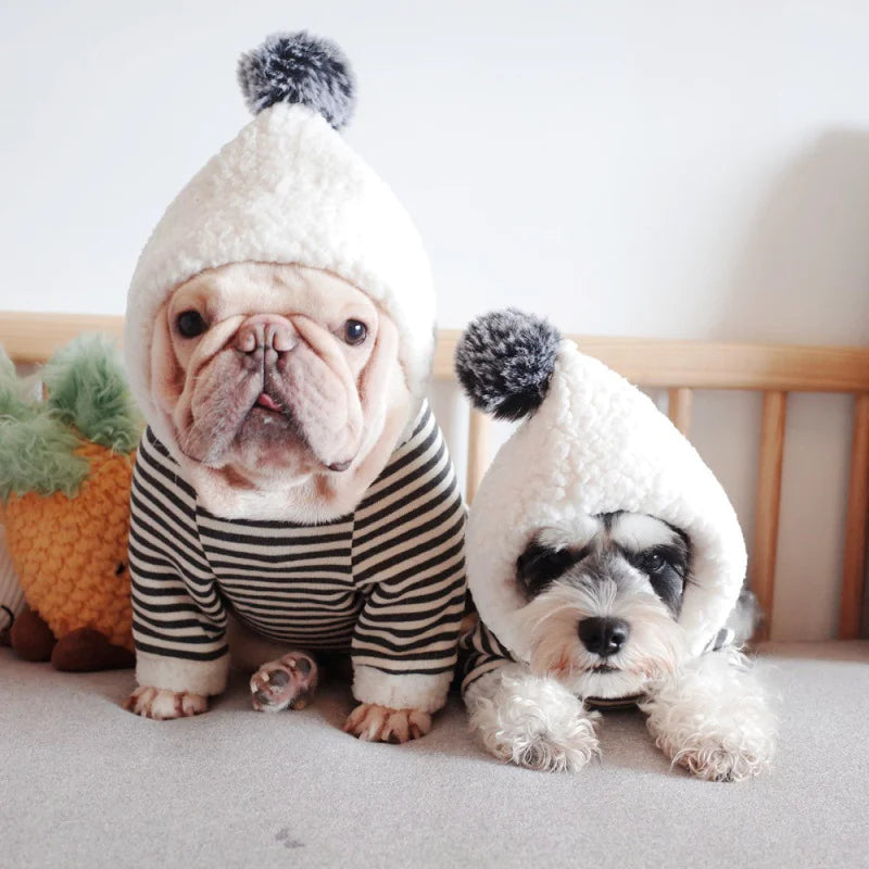 Adorable Hoodie Sweater in Lamb Wool