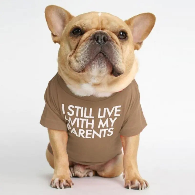 Round Neck T-shirt for Pets