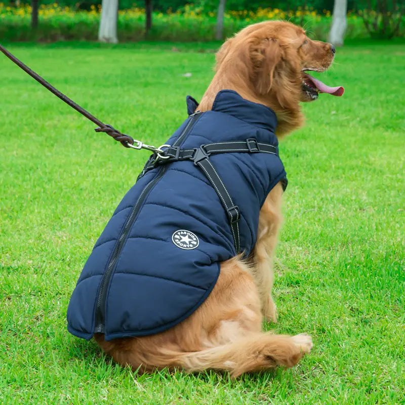 Autumn Winter Warm Dog Jackets for Medium Large Breeds