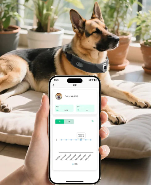 C10 Smart Pet Health Collar