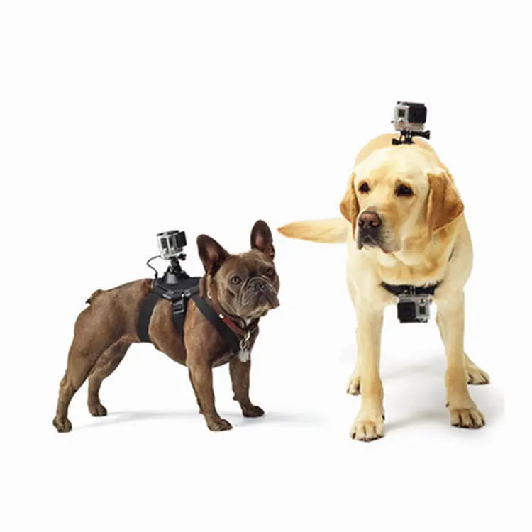 GoPro Dog Harness for Hero 8 7 5 6 & DJI Accessories-Top Pick!!