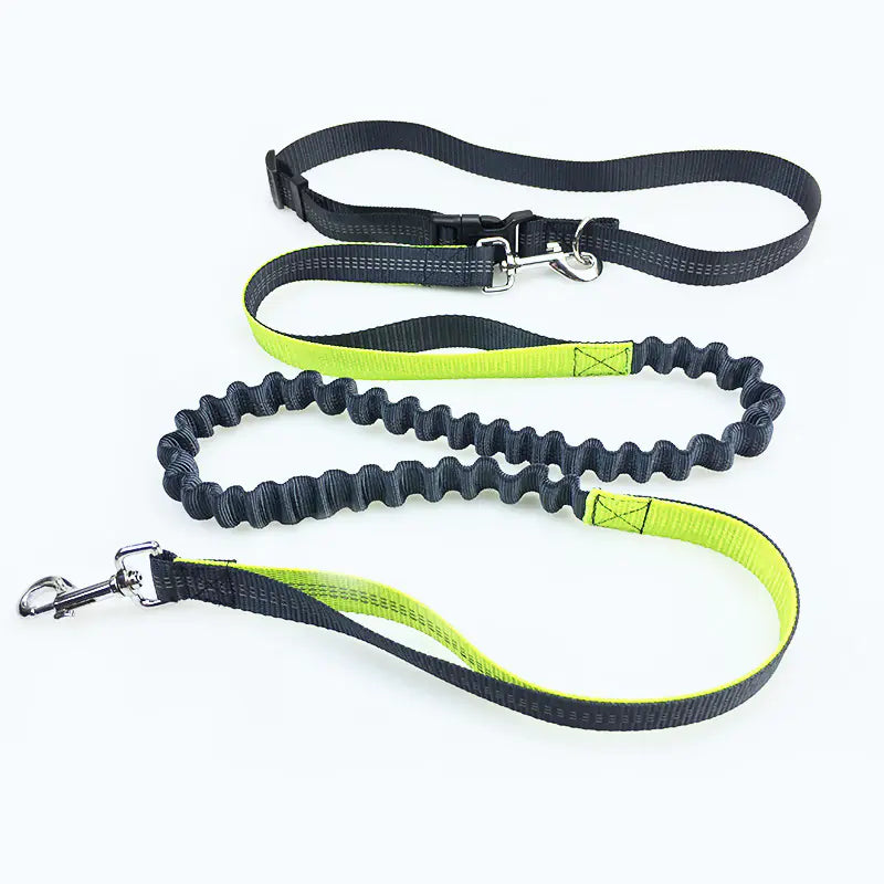 Dog Running Leash, Hands Free
