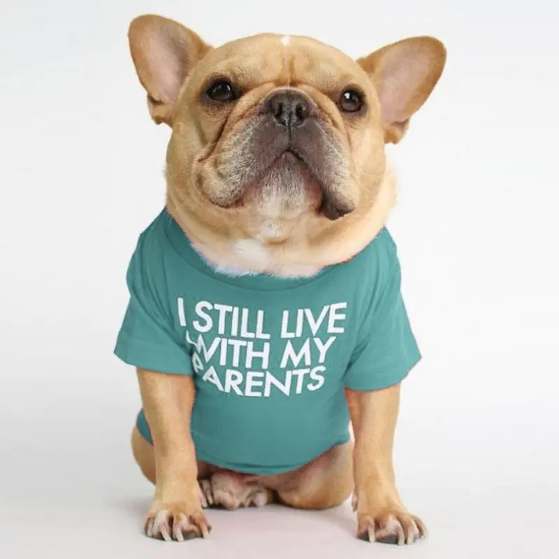 Round Neck T-shirt for Pets