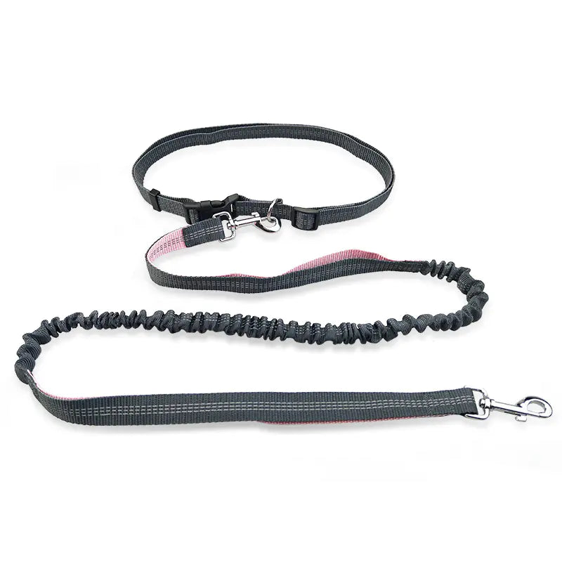 Dog Running Leash, Hands Free
