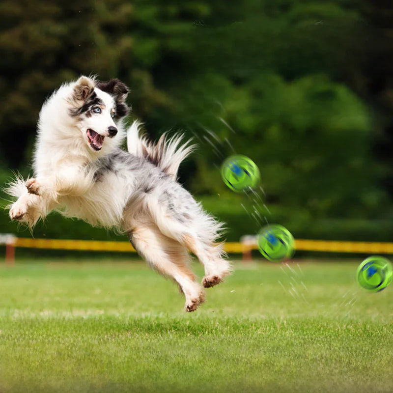 WobbleWagGiggle Pet Toy for Dogs - Interactive Chew Ball with Sound-Top Pick!!