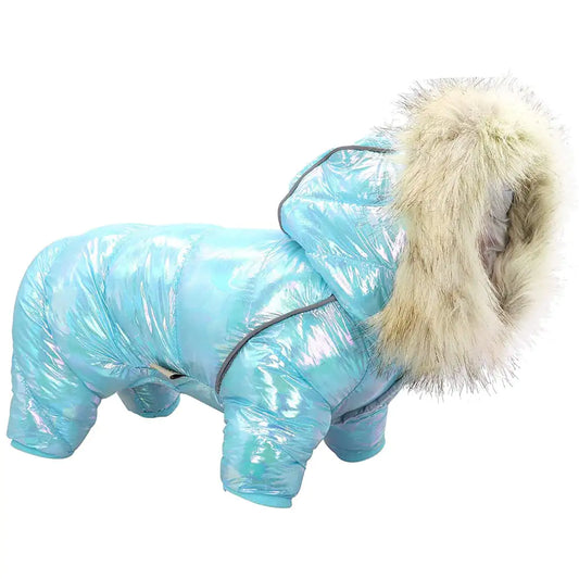 Colorful Winter Coat with Buttoned Hat for Pets