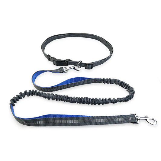 Dog Running Leash, Hands Free