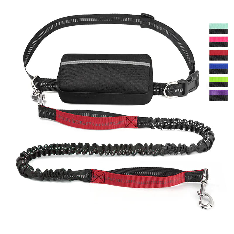 Hands Free Pet Running Waist Bag with Leash
