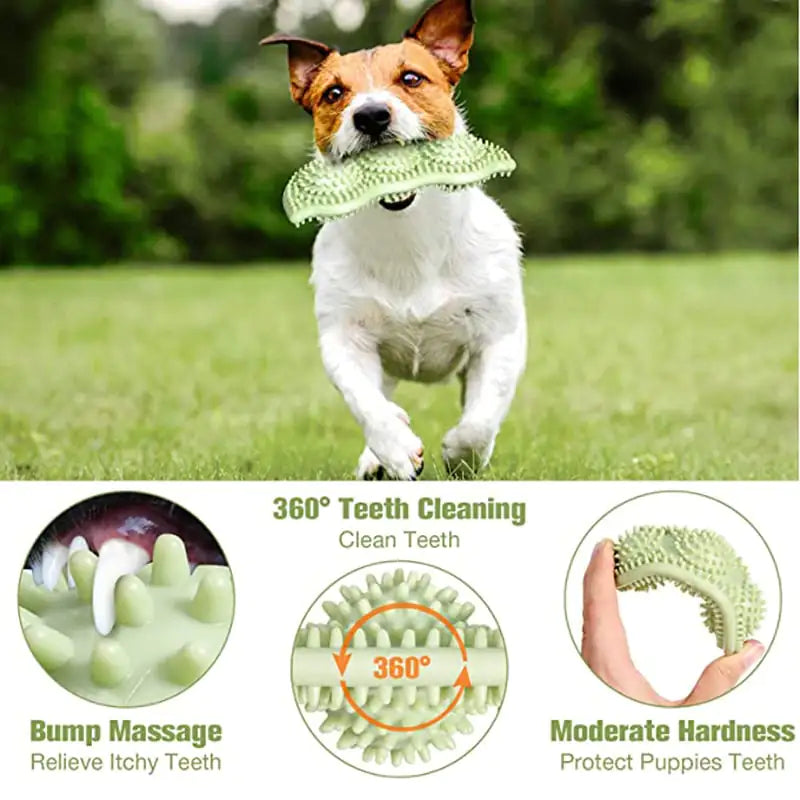 Bite Resistant Interactive Chew Stick Dog Toy Ball