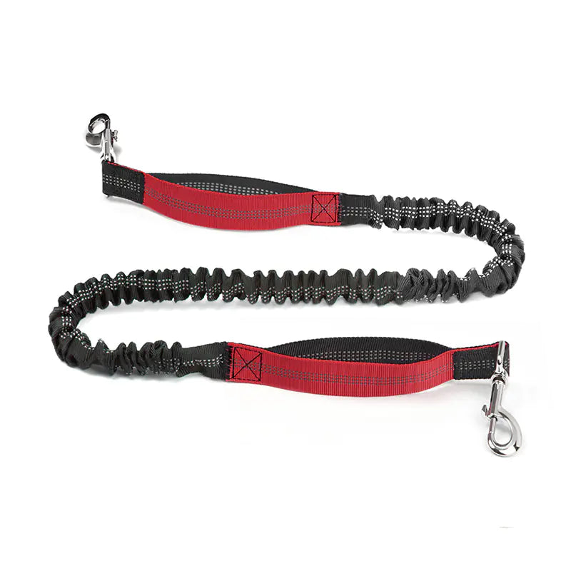 Hands Free Pet Running Waist Bag with Leash