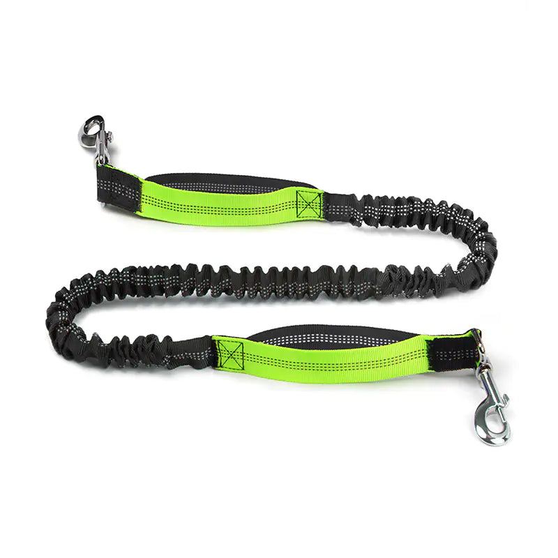 Hands Free Pet Running Waist Bag with Leash