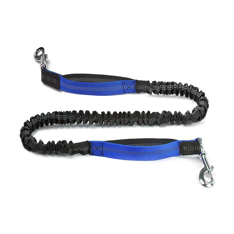 Hands Free Pet Running Waist Bag with Leash