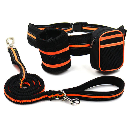 Reflective Hands Free Leash Set -Top Pick!!