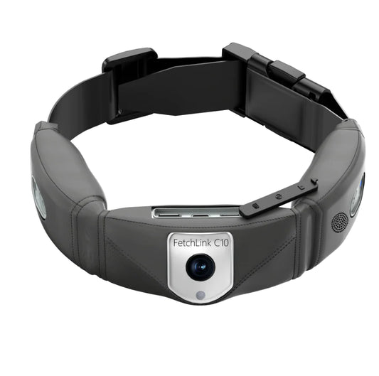 C10 Smart Pet Health Collar